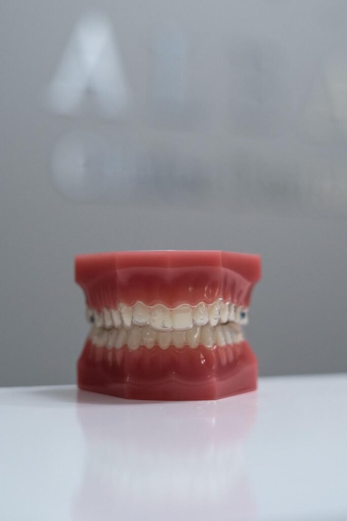 Modelo de dentadura con alineadores transparentes para ortodoncia en Tula de Allende Hidalgo.